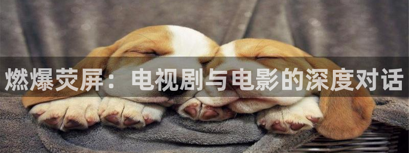 色吧超碰：燃爆荧屏：电视剧与电影的深度对话