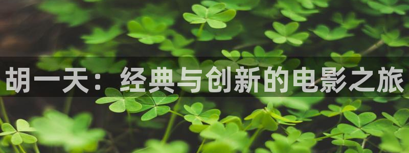 91国内超碰在线：胡一天：经典与创新的电影之旅