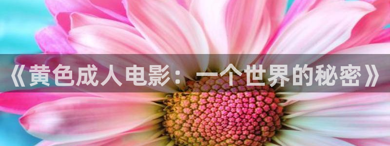 超碰啊啊啊：《黄色成人电影：一个世界的秘密》