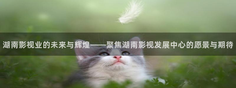 91超碰人妻在线：湖南影视业的未来与辉煌——聚焦湖南影视发展中心的愿景与期待
