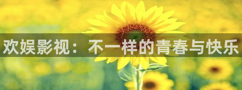 新超碰免费：欢娱影视：不一样的青春与快乐