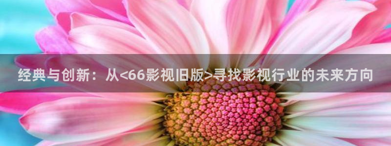 夫妻自拍超碰：经典与创新：从<66影视旧版>寻找影视行业的未来方向