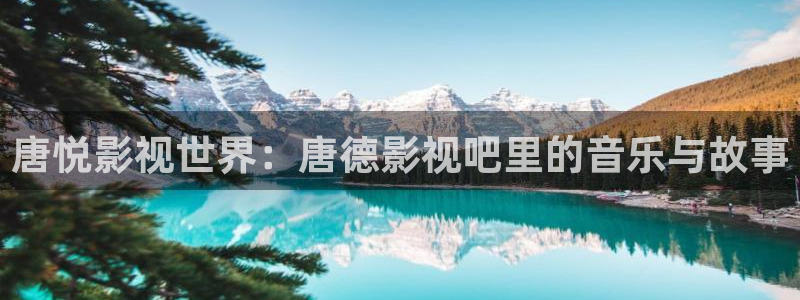 超碰2008：唐悦影视世界：唐德影视吧里的音乐与故事