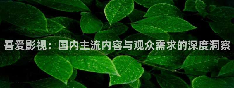 93超碰：吾爱影视：国内主流内容与观众需求的深度洞察