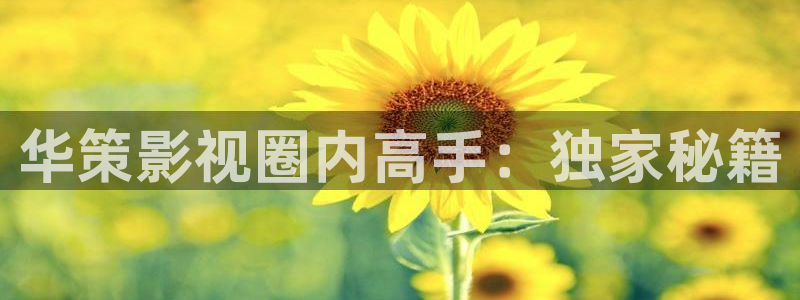 超碰在线视频.：华策影视圈内高手：独家秘籍